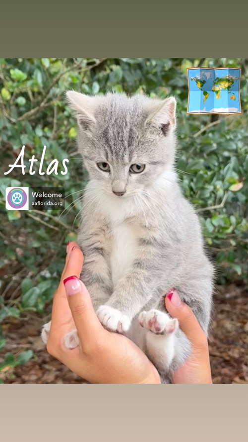Atlas