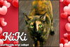 KiKi