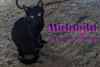 Midnight McKee