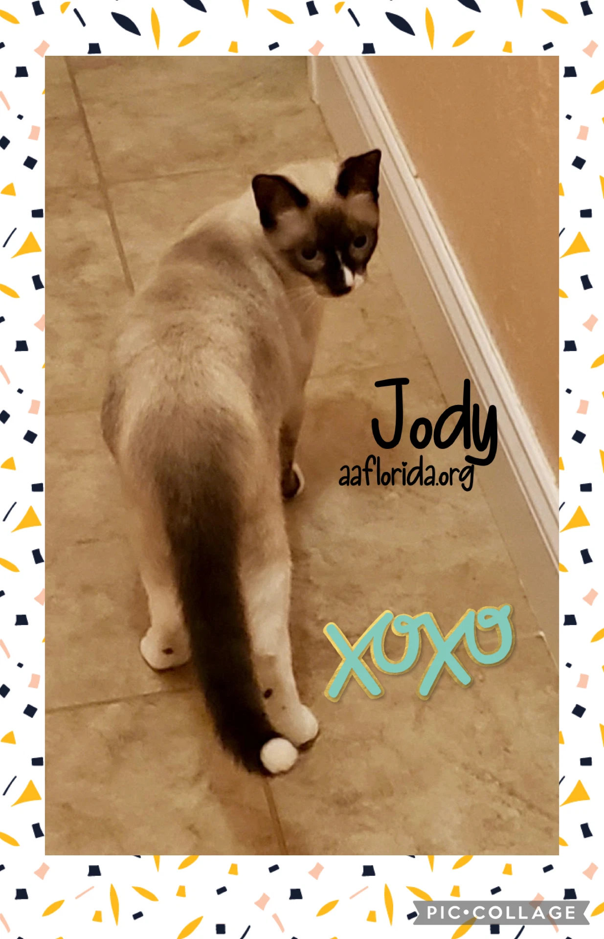 Jody