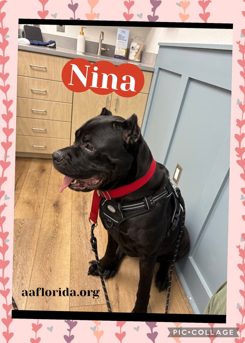Nina