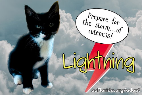 Lightning