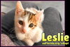 Leslie