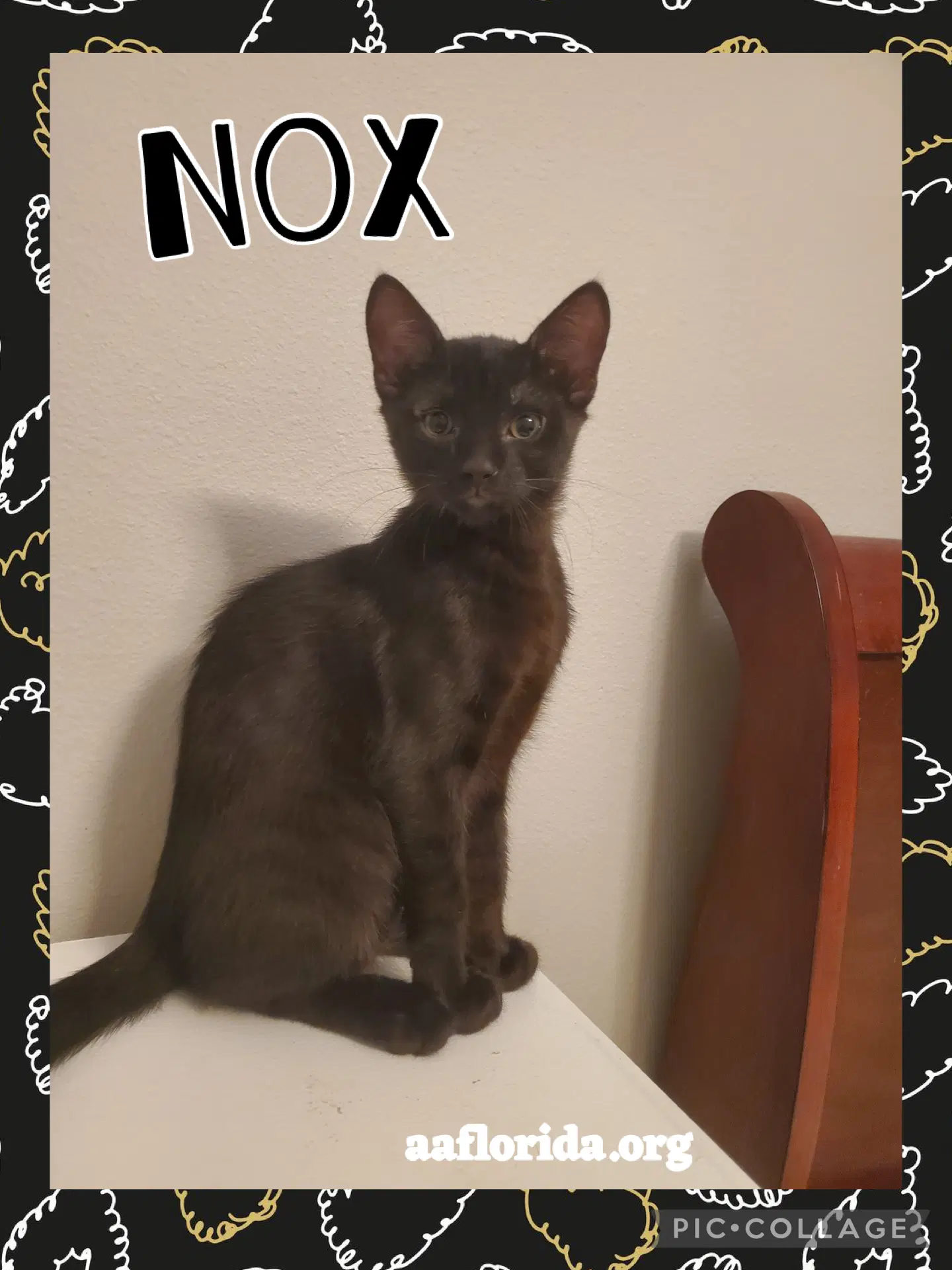 Nox image 1