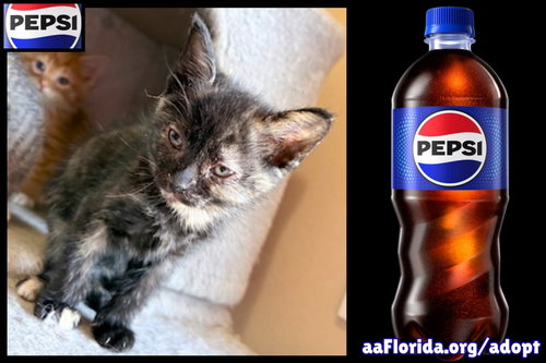 Pepsi