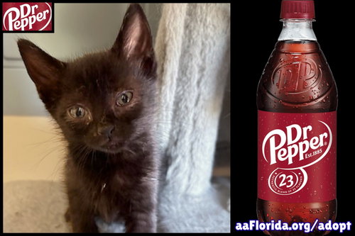 Dr. Pepper