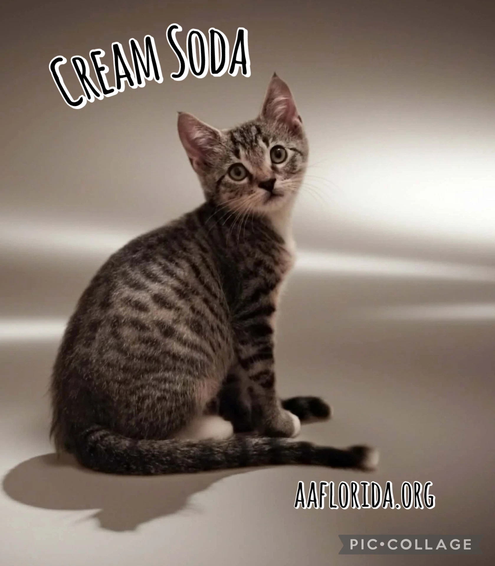 Cream Soda