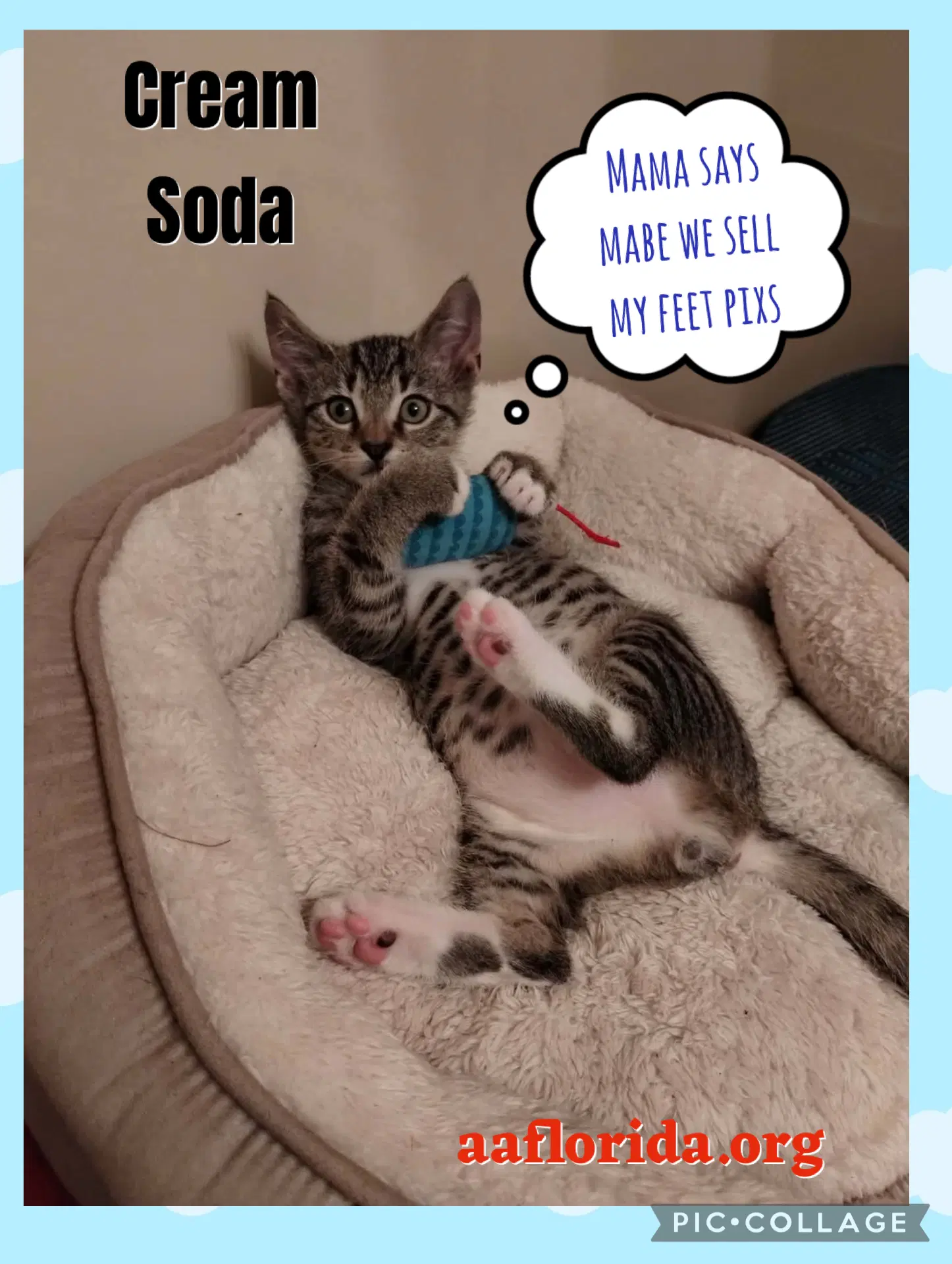 Cream Soda image 2