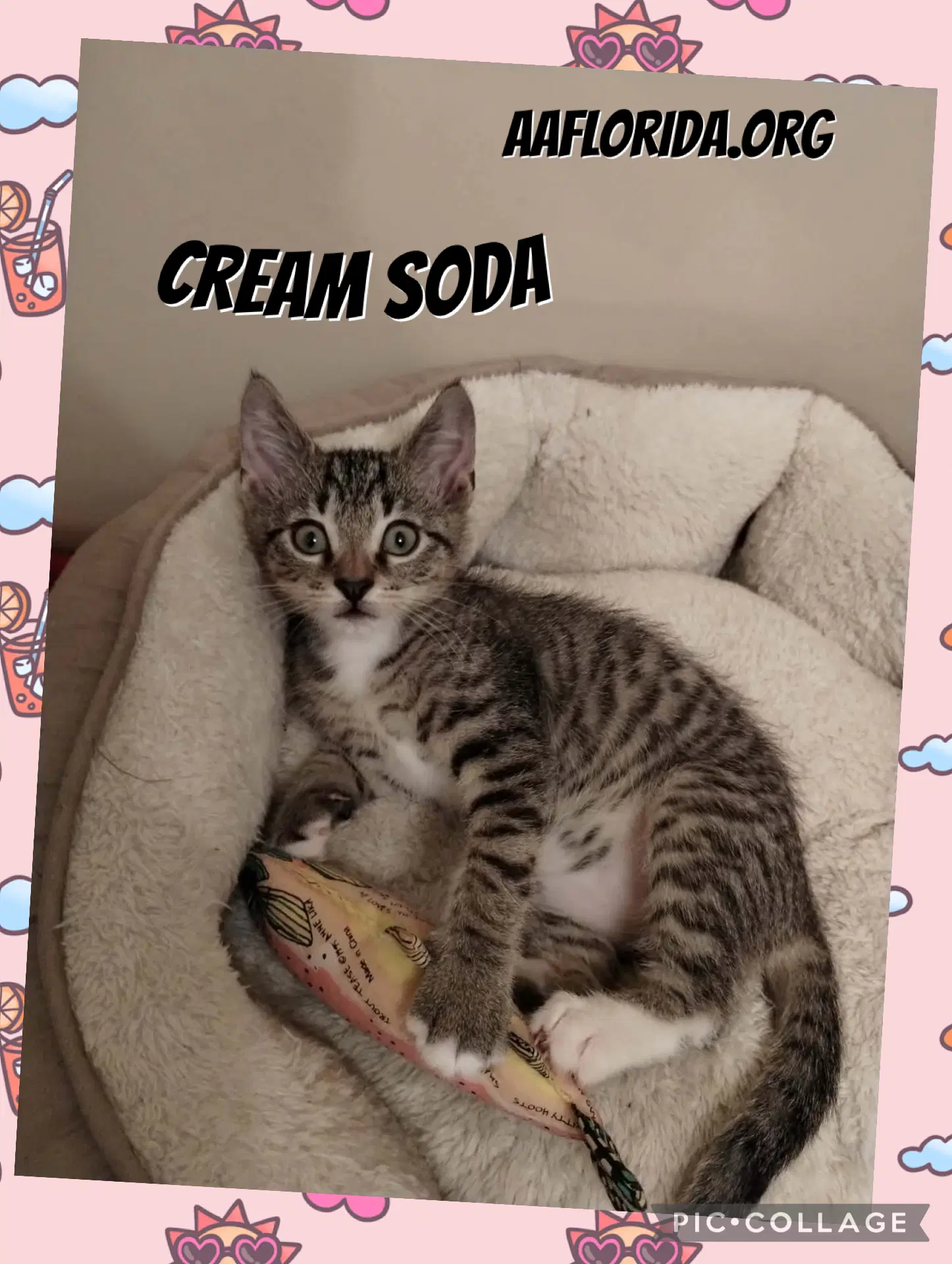 Cream Soda image 3