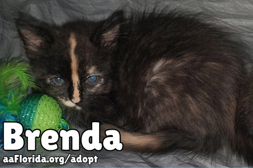 Brenda photo 3