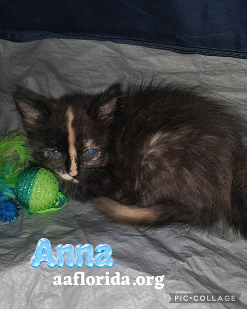 Anna