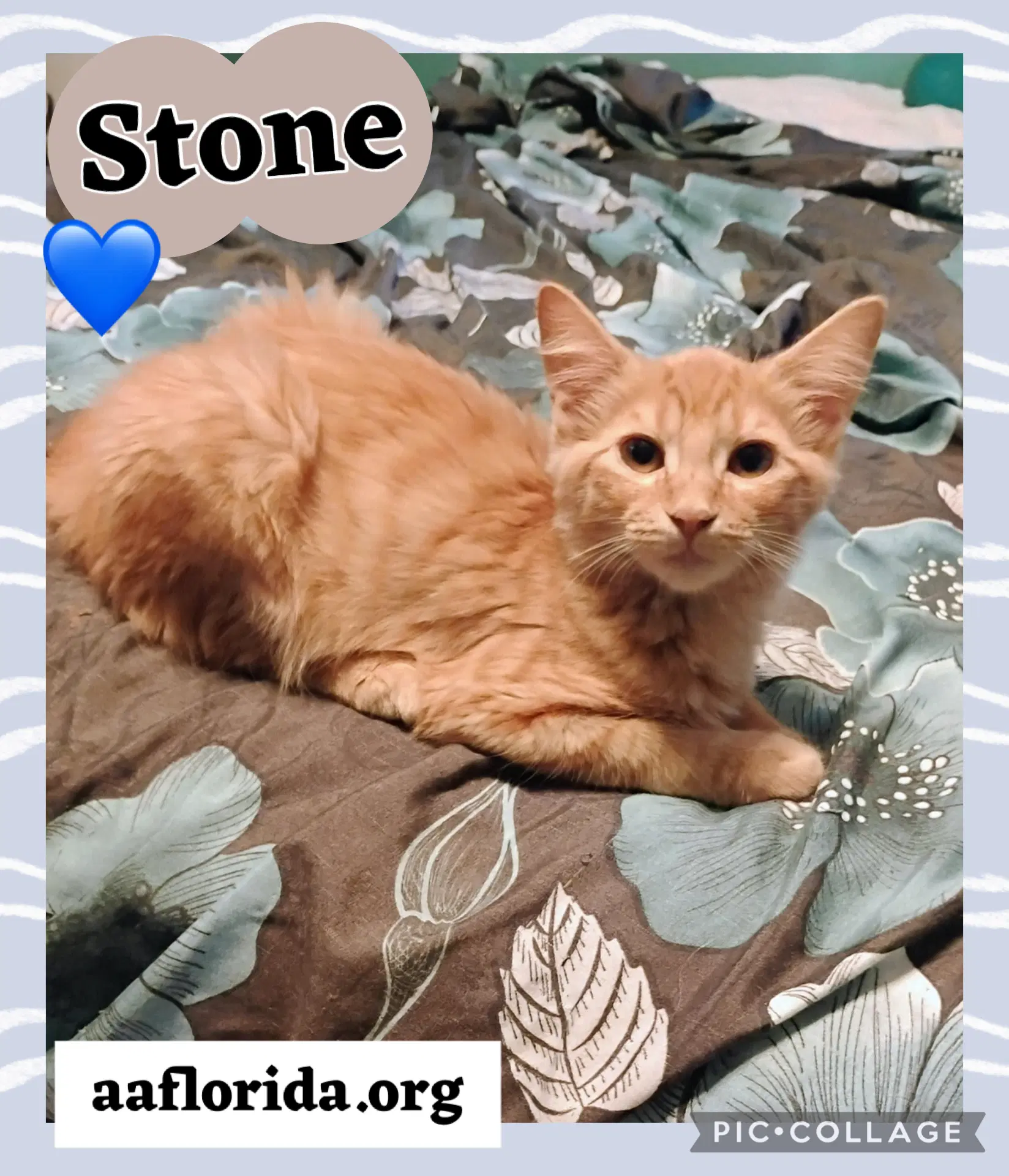 Stone image 1