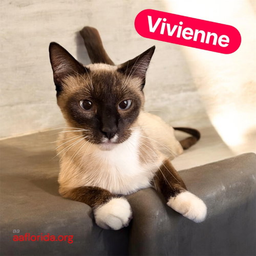 Vivienne
