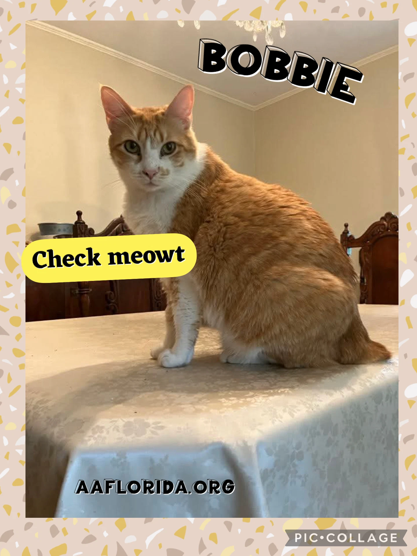 Bobbie