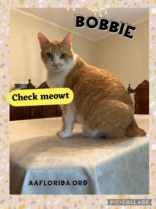 Bobbie
