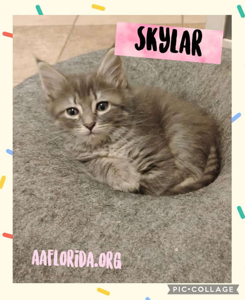 Skylar