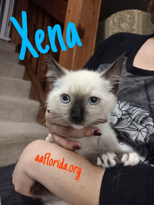 Xena
