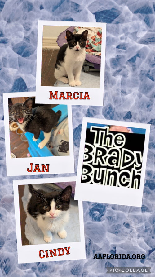 Marcia photo 2