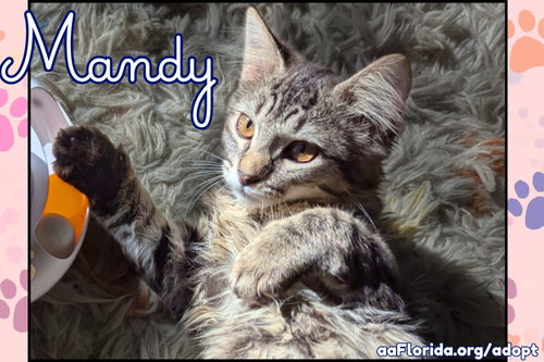 Mandy photo 2