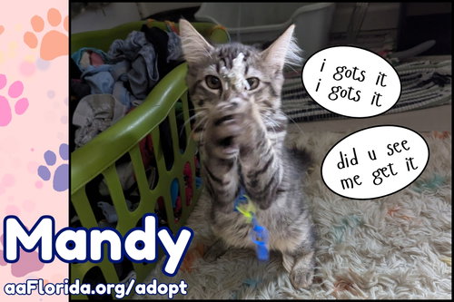Mandy photo 3