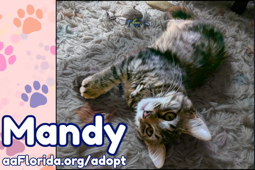 Mandy photo 4