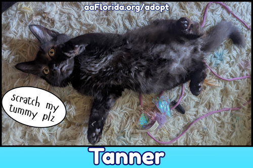 Tanner photo 2