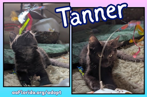 Tanner photo 3