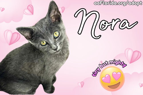 Nora