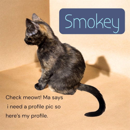 Smokey photo 2