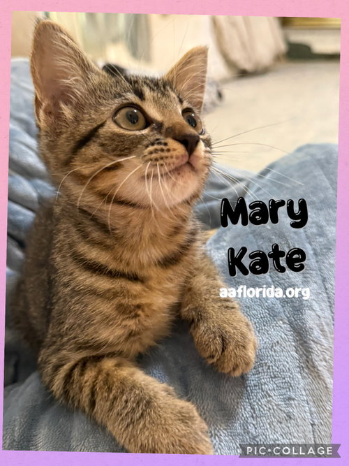 Mary Kate