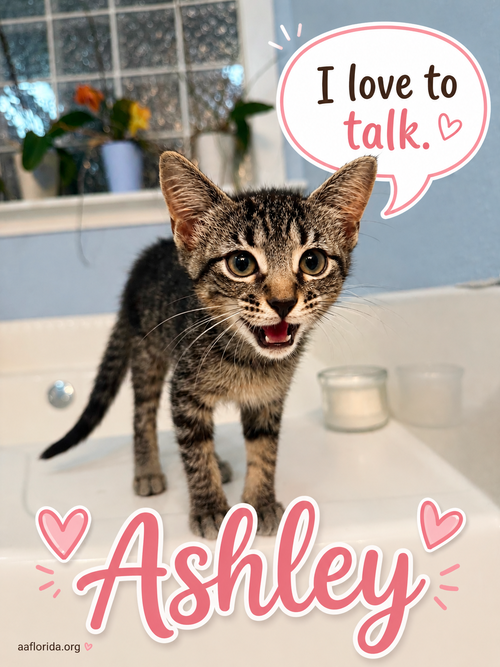 Ashley