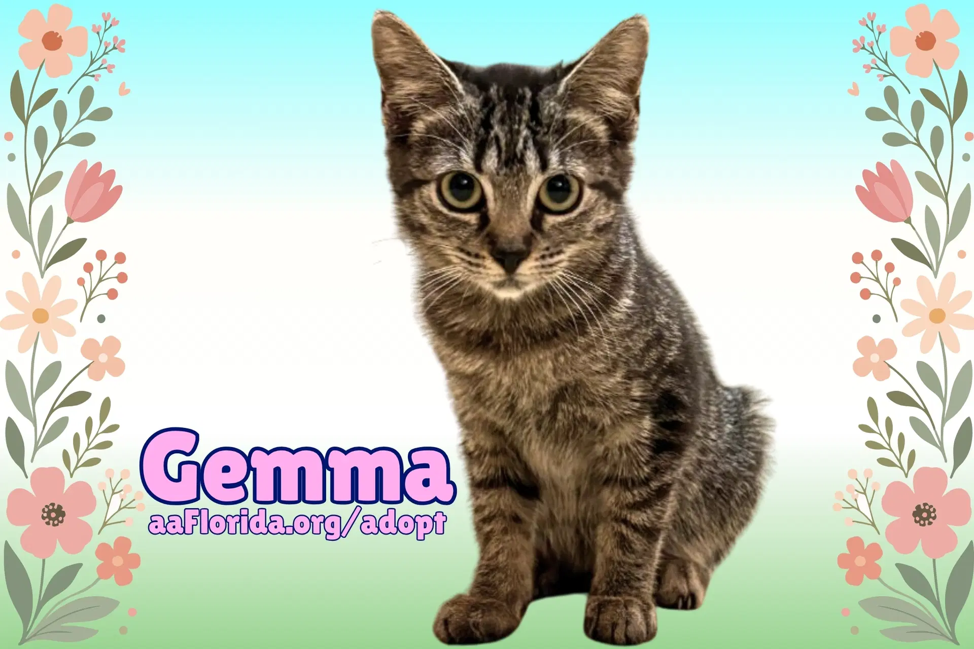 Gemma image 2