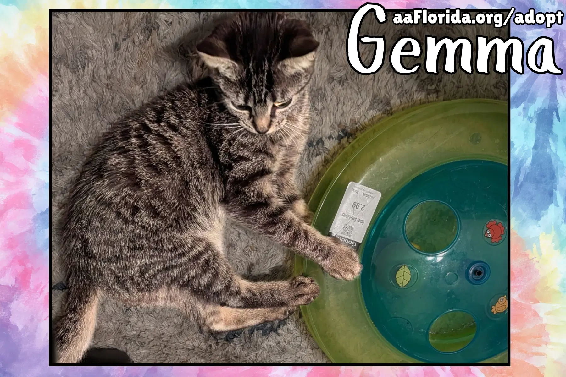 Gemma image 3
