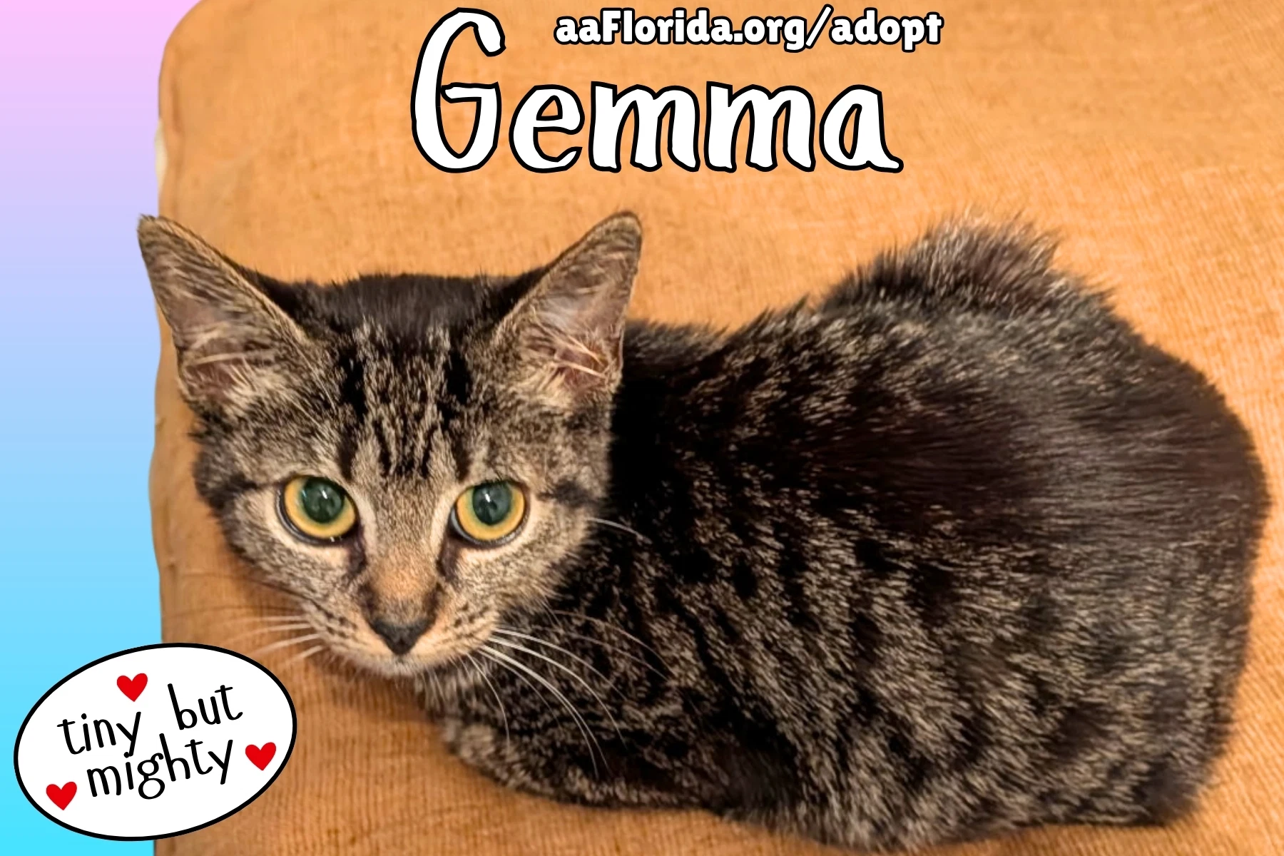 Gemma