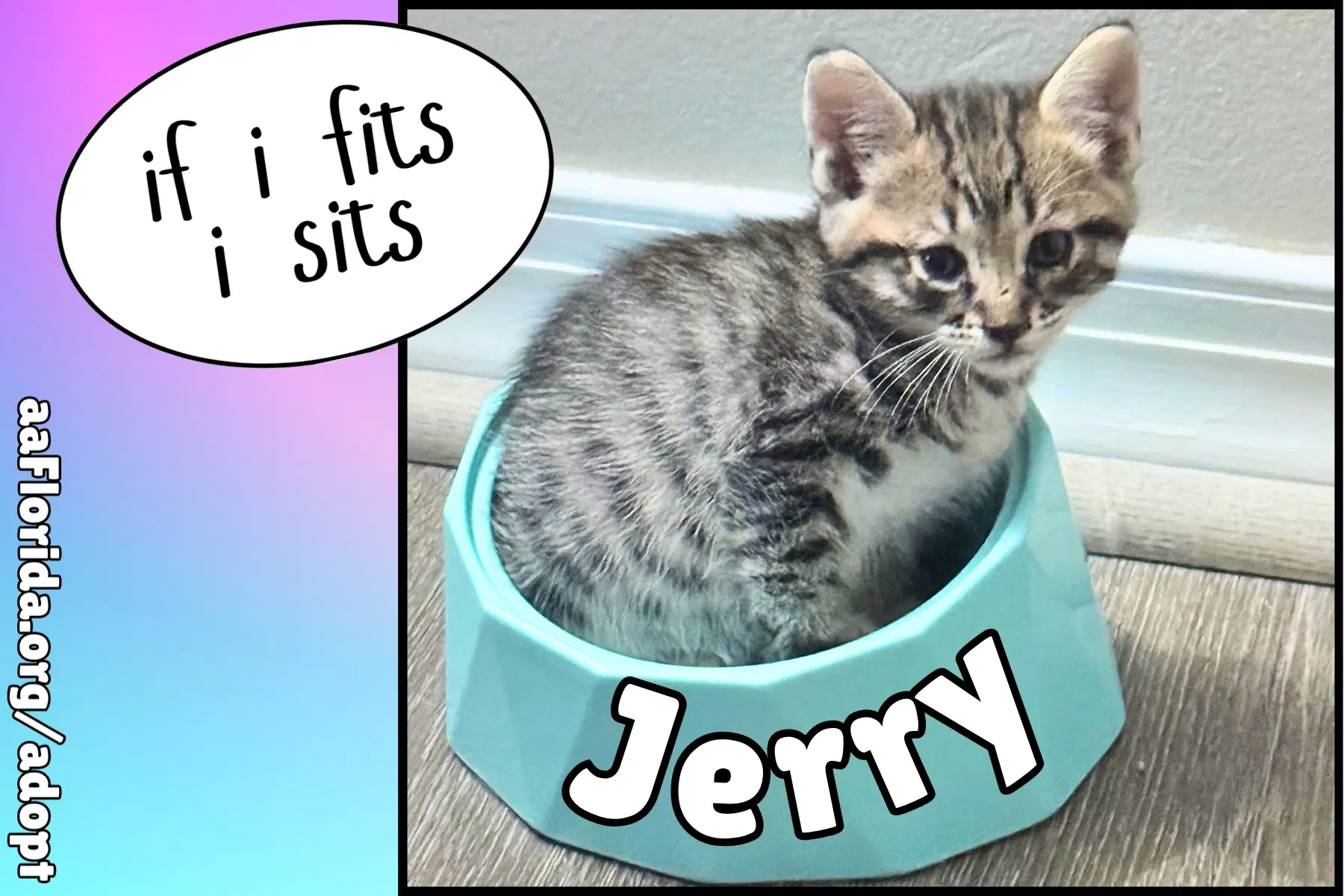 Jerry image 1