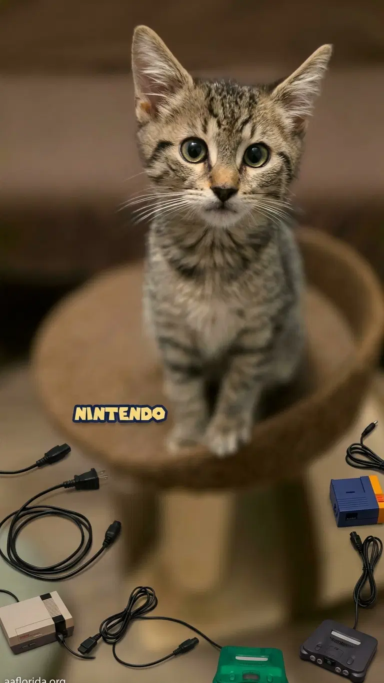 Nintendo image 2