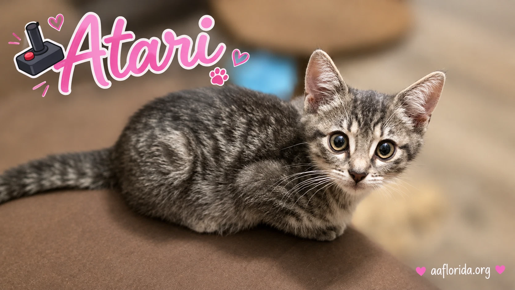 Atari