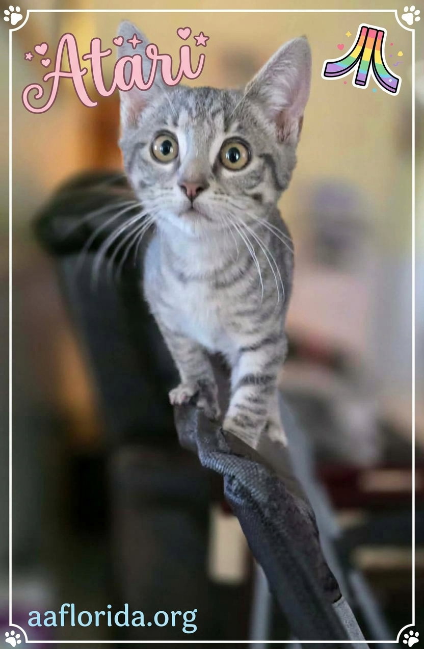 Atari