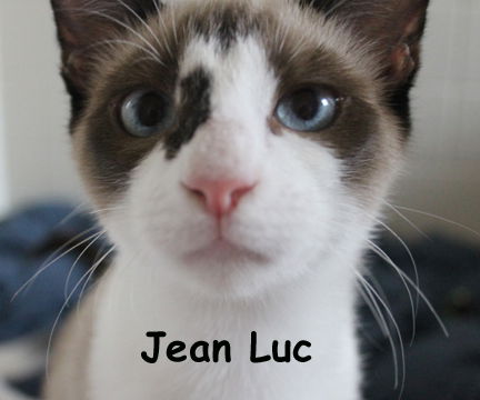 Jean Luc