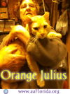 Orange Julius