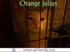 Orange Julius