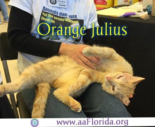 Orange Julius