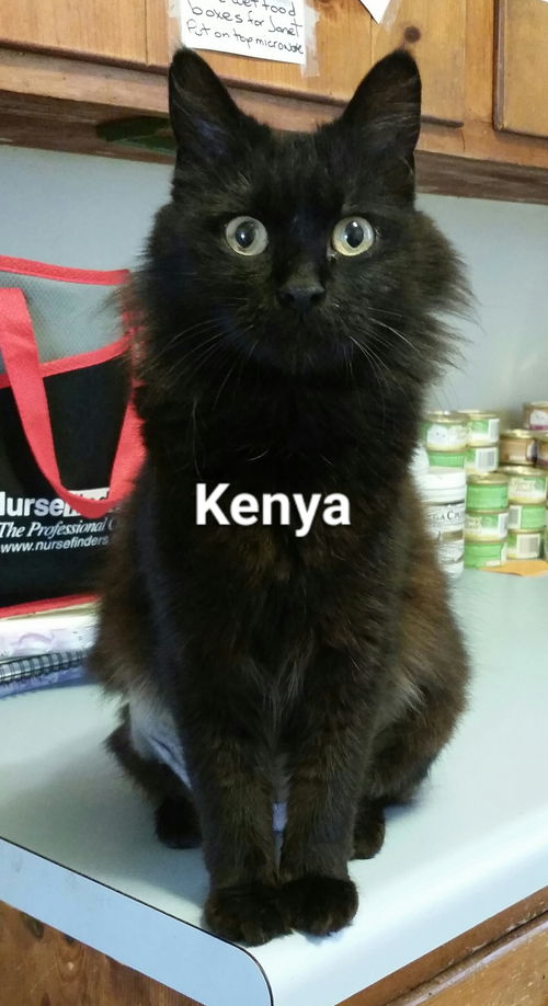 Kenya