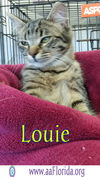 Louie