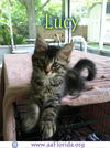 Lucy