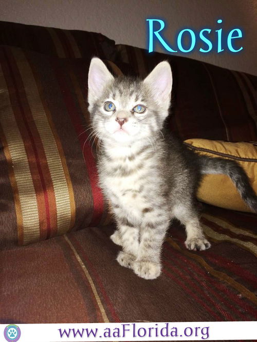 Rosie