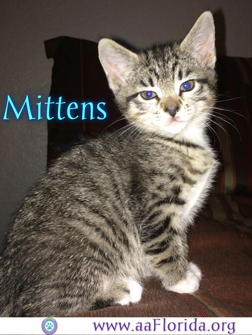 Mittens