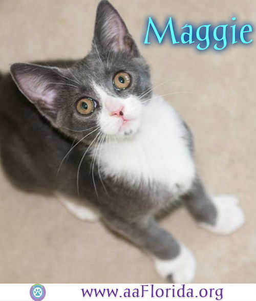 Maggie