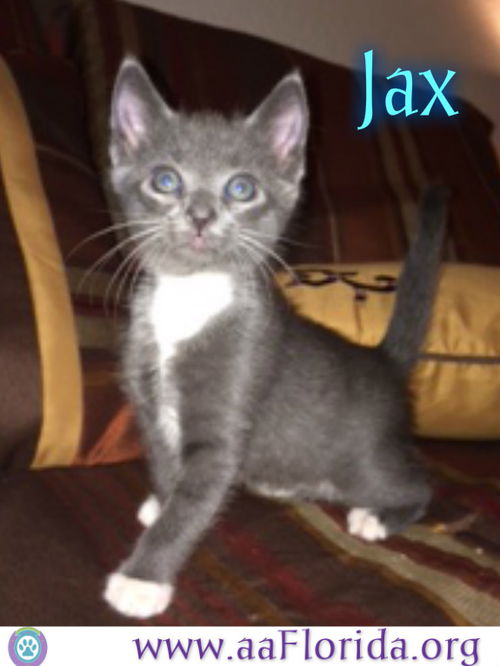 Jax