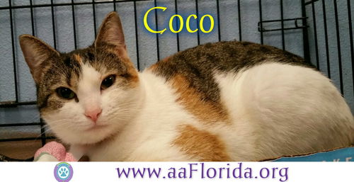 Coco